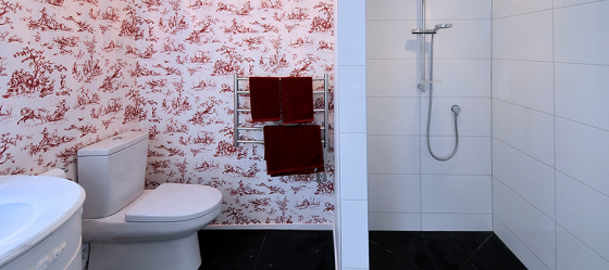 Bathrooms in Auckland - Bathroom Renovations