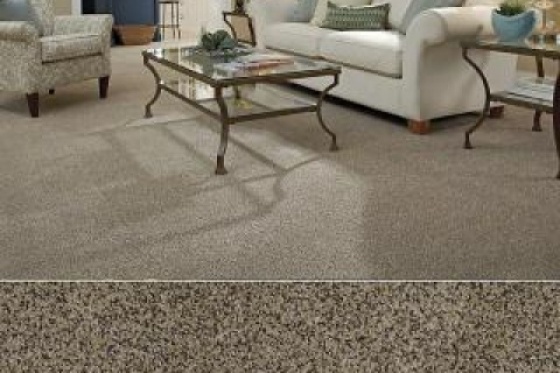 Expert Flooring - Solution-dyed nylon carpets ranges in raglan