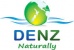 DENZ Limited Logo